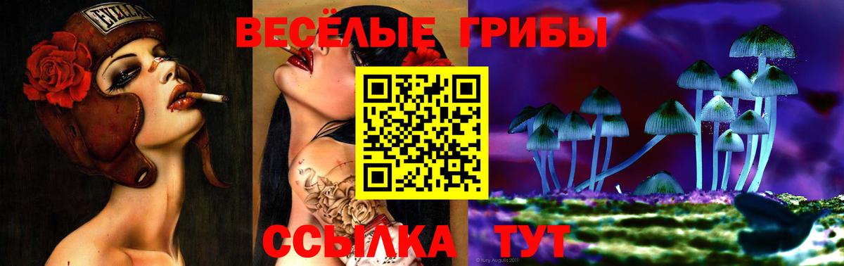 Галлюциногенные грибы мицелий Рязань